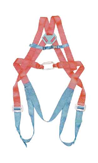 Safety Belts & Harnesses